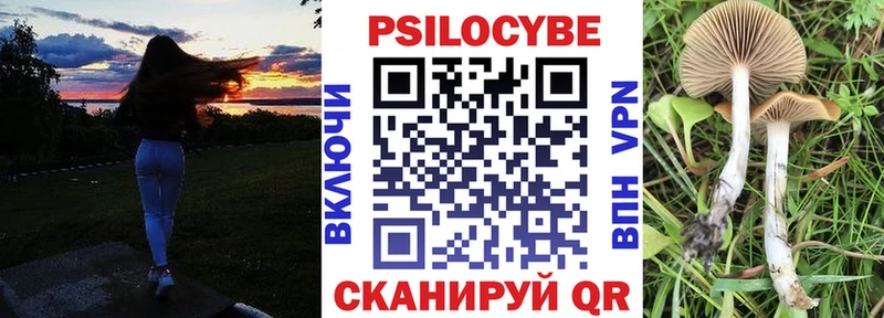 закладки  Арзамас  Галлюциногенные грибы Psilocybe 